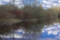 Beautiful reflection of the sky with clouds and trees in the water. Landscapes of nature