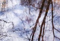 Beautiful reflection of tree branches in the water in early spring in the park. Watercolor abstract background in lilac-blue tones Royalty Free Stock Photo