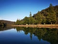 Beautiful reflections of blue sky, mountains and trees on creek Royalty Free Stock Photo
