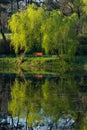 Beautiful Reflections on the Lake in the Park at Sunrise Royalty Free Stock Photo