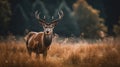 A majestic deer standing in the middle of a meadow created with Generative AI