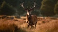 A majestic deer standing in the middle of a meadow created with Generative AI