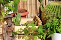 Beautiful relaxation terrace full of plants and cactuses with a wooden statuette Royalty Free Stock Photo