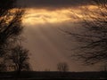 Beautiful, relaxing sunset on an autumn day with some trees in foreground