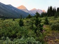 Beautiful remote area in the Canadian Rockies with the mountains in the background, and shrubs and fireweed in the foreground.