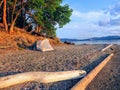 A beautiful remote camping location on a sandy beach along the ocean beside the forest.  It is a sunny summer evening Royalty Free Stock Photo