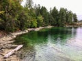 A beautiful remote shoreline covered by evergreen forest and a rocky shore. The colour of the shallow ocean water is a dark green