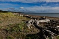 Beautiful remoteness of East Beach on Haida Gwaii Royalty Free Stock Photo