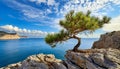Small Maritime Pine Growing on the Rocky Cliff with a Beautiful Seascape on Background - Generative Ai