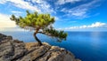 Small Maritime Pine Growing on the Rocky Cliff with a Beautiful Seascape on Background - Generative Ai