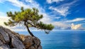 Small Maritime Pine Growing on the Rocky Cliff with a Beautiful Seascape on Background - Generative Ai