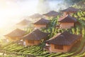 Beautiful resort and vallage is Chinese style with Tea Plantation in mist and sunrise shining on the mountain at Ban Rak Thai, Mae