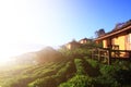 Beautiful resort and vallage is Chinese style with Tea Plantation in mist and sunrise shining on the mountain at Ban Rak Thai, Mae