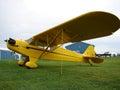 Beautiful restored classic Piper J3 Cub.