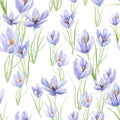 Beautiful retro pastel flowers seamless pattern. Hand painted floral design background with crocus Royalty Free Stock Photo