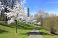 The beautiful Rheinaue park in Bonn, Germany. Royalty Free Stock Photo