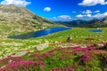 Beautiful rhododendron flowers and Bucura mountain lakes,Retezat mountains,Romania