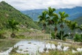 Beautiful rice field landscape in the mountains