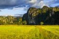Beautiful rice field and limestone mountain at Noen Maprang, Phitsanulok, Thailand