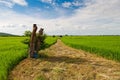 Beautiful rice field over blue sky