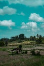 Beautiful rice fields in Bali over summer sky background Royalty Free Stock Photo