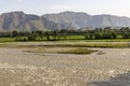 The beautiful rice fields in Pakistan