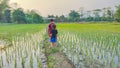 Beautiful rice fields, Rural happiness in thailand