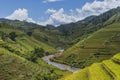 Beautiful rice terrace field on hill in Northern Vietnam Royalty Free Stock Photo