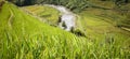Beautiful rice terrace field on hill in Northern Vietnam Royalty Free Stock Photo