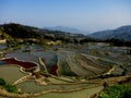 Beautiful rice terraced fields of Hani ethnic people in Yuanyang