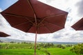 Beautiful Rice Terraces, Bali, Indonesia Royalty Free Stock Photo