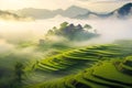 Rice terraces at dawn and mountains. Scenic panoramic view of terraced rice field stretching across mountainside. Generative AI