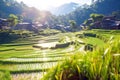 Rice terraces at dawn and mountains. Scenic panoramic view of terraced rice field stretching across mountainside. Generative AI