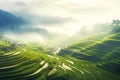 Rice terraces at dawn and mountains. Scenic panoramic view of terraced rice field stretching across mountainside. Generative AI