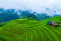 Beautiful Rice terraces at Mam xoi viewpoint in Mu cang chai, Vietnam