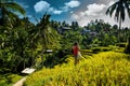 Rice fields and photographer girl. Ubud, Bali, Indonesia.