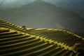 The beautiful rice terraces