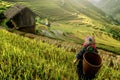 Beautiful rice terraces, in Mu cang chai ,Yenbai, Vietnam Royalty Free Stock Photo