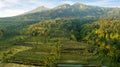 Beautiful rice terraces near Rinjani volcano