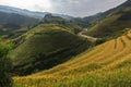 Beautiful Rice Terraces, South East Asia. Royalty Free Stock Photo