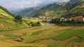 Beautiful Rice Terraces, South East Asia. Royalty Free Stock Photo