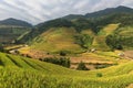 Beautiful Rice Terraces, South East Asia. Royalty Free Stock Photo