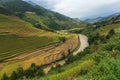 Beautiful Rice Terraces, South East Asia. Royalty Free Stock Photo