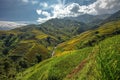 Beautiful Rice Terraces, South East Asia,Vietnam. Royalty Free Stock Photo