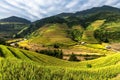 Beautiful Rice Terraces, South East Asia,Vietnam. Royalty Free Stock Photo