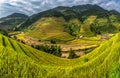 Beautiful Rice Terraces, South East Asia,Vietnam. Royalty Free Stock Photo