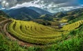 Beautiful Rice Terraces, South East Asia Royalty Free Stock Photo