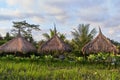 Beautiful rice terraces in Ubud, Bali island Royalty Free Stock Photo