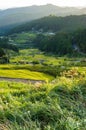 Beautiful rice terraces of Yotsuya, Aichi prefecture, Japan Royalty Free Stock Photo