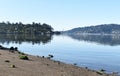 Beautiful Richardson Bay View From Tiburon Marin County With Golden Gate Bridge In Background Royalty Free Stock Photo